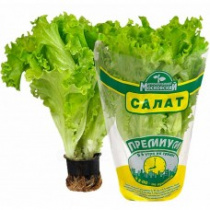 Салат Московский (в горш) 10шт