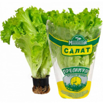 Салат Московский (в горш) 15 шт